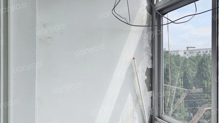 团结小区，好房源，环境好，交通便利。-阳台