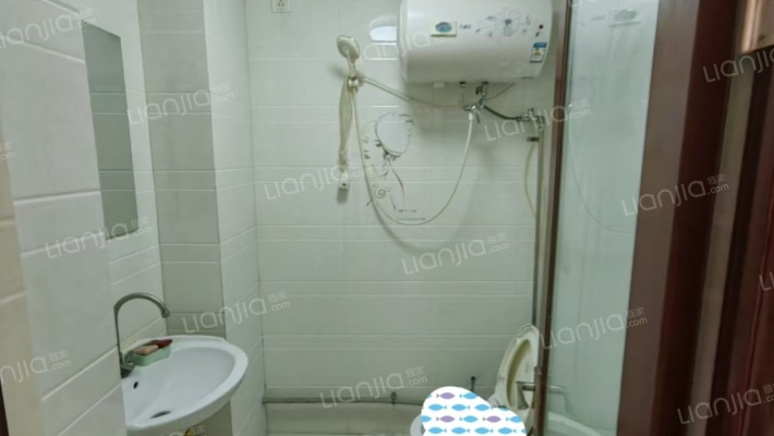 水岸花城，好房源，环境好，交通便利。-卫生间