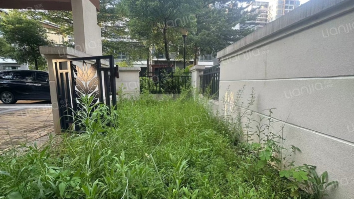 金都雅苑别墅急售急售 只要看中 可以谈-花园