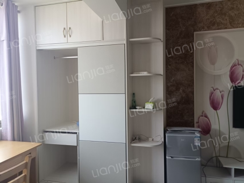 整租·名人东方巴黎 1室1厅 东南/南