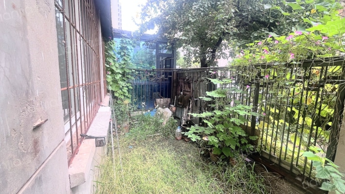 建厂局设计院家属楼 1室1厅 南 北-花园