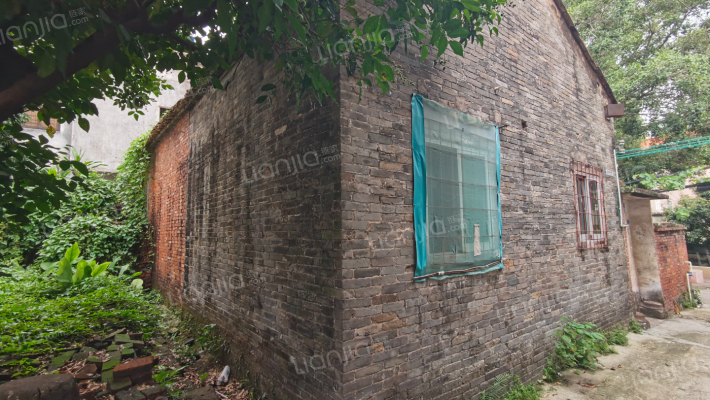 伦教霞石单家二手房实景图