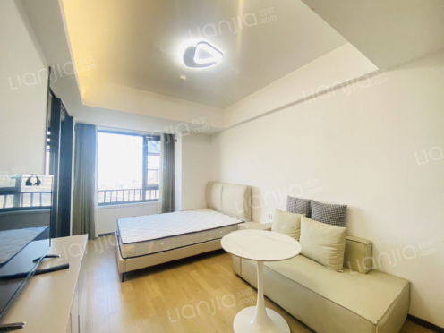 整租·富力三江都荟 1室1厅 南