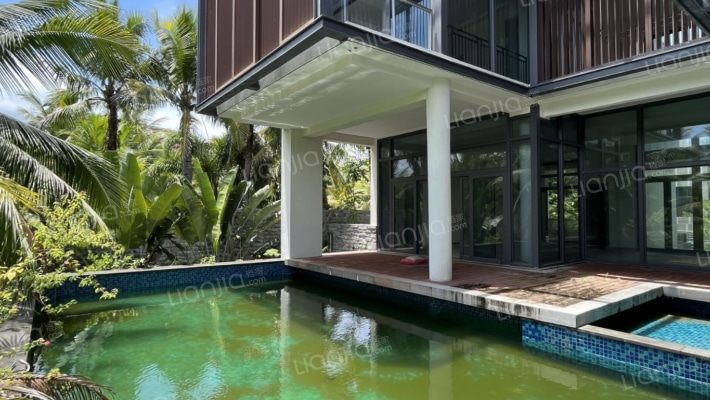 雅居乐新加坡风格大别墅产品紧俏-游泳池