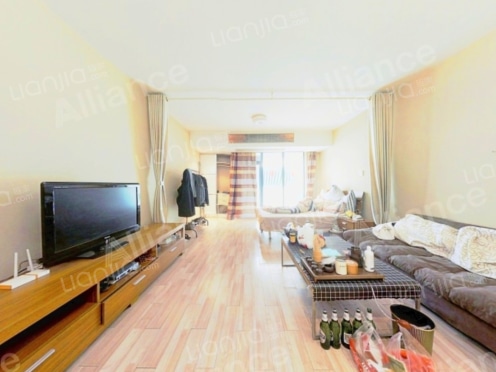 整租·帝邦帝海 1室1厅 南