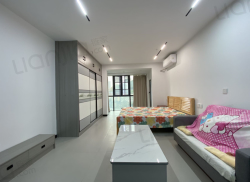 整租·凤凰国际城 1室1厅 东南_凤凰国际城租房