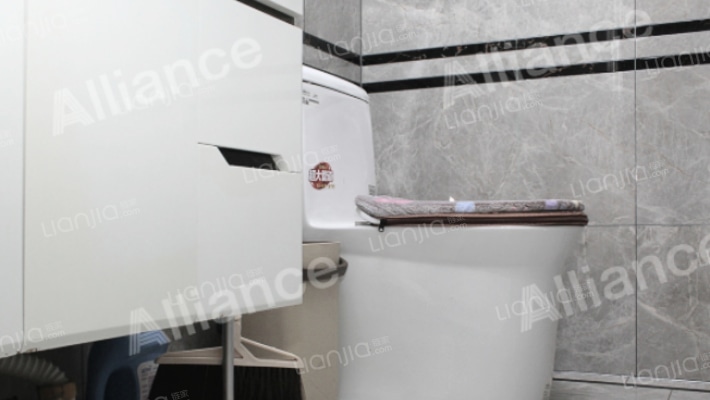 狮子城南区  全南向两居室 简约装修-卫生间