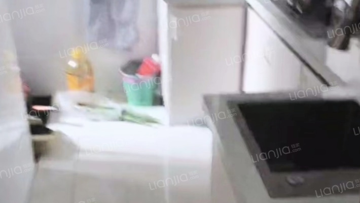 大社区 名物业 高绿化 管家服务小两居-厨房