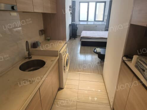 整租·金科星辰 1室1厅 南