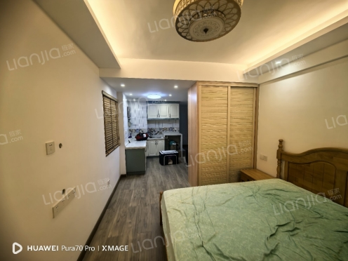 整租·梧桐墅 1室1厅 南/北