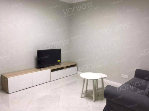 整租·龙湖两江新宸乐蜀 1室1厅 南