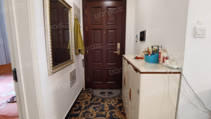 狮子城 精装修三居 带车位地下室 满二 全明户型-门厅