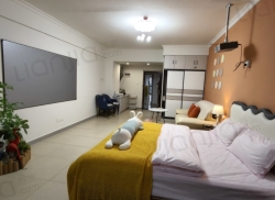 整租·步行街大厦 1室0厅 南_步行街大厦租房