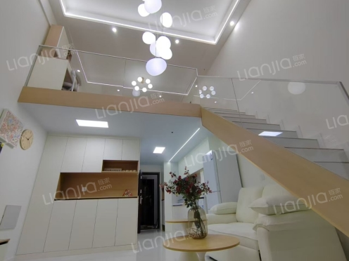 整租·中南·珑悦 1室1厅 南