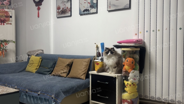 新源雅居二手房实景图
