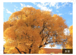 整租·测试楼盘 2室1厅 南_测试楼盘租房