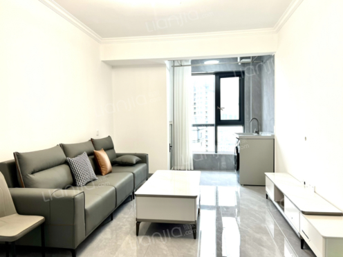 整租·御景新苑北二区 2室2厅 南