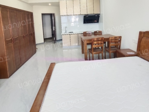 整租·海港城 1室1厅 南