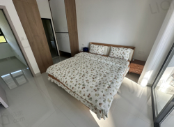 整租·阅蓝山 2室1厅 南_阅蓝山租房