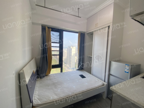 整租·金科天宸宸寓 1室1厅 南