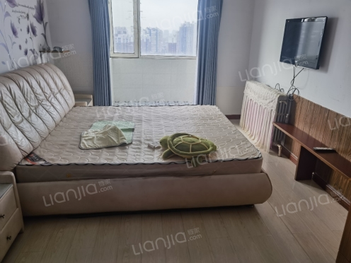 整租·金海寶山新城 1室1厅 南