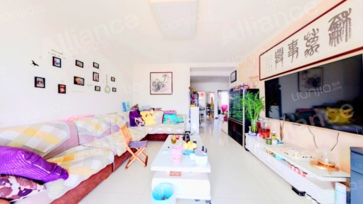 带电梯，采光嘎嘎好，真滴全天都不影响采光-客厅