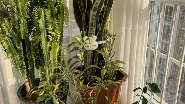 高居住品质评分、良好的物业管理、便利的交通-餐厅