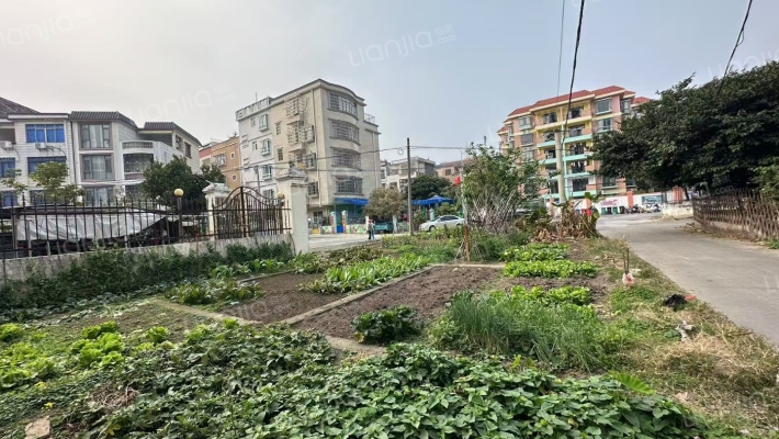 其伟小区二手房实景图