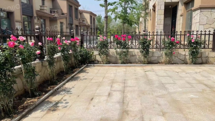 爱伦堡 精装修 直接入住 房本满二-花园