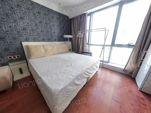 整租·乐嘉大厦 1室1厅 南