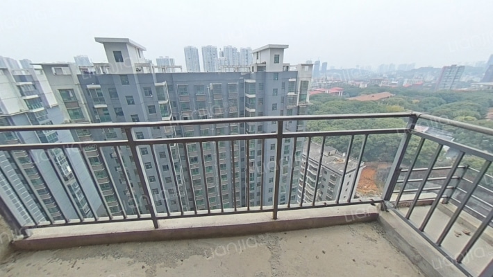 江洲花园 江景房 户型很好 采光好  配套完善-阳台