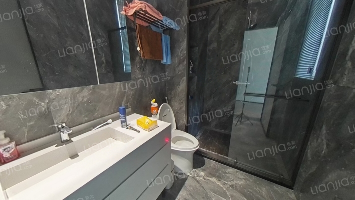 尚东城精装大平层  现代化设计 给你一个明星的家-卫生间