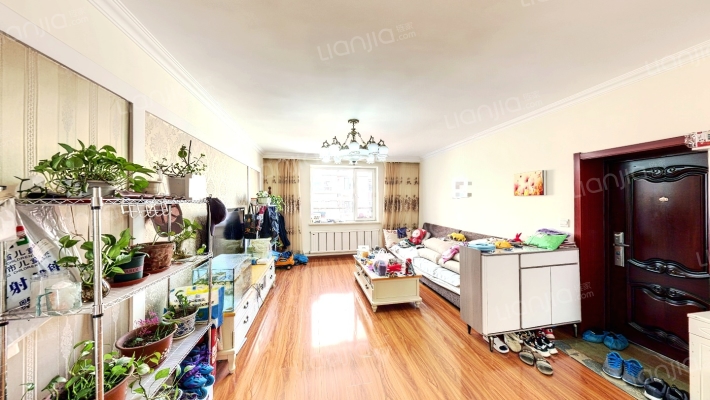 嫩江街二手房实景图