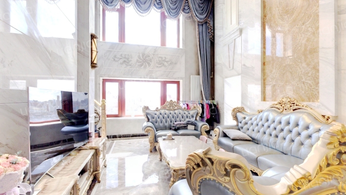 龙电花园二手房实景图