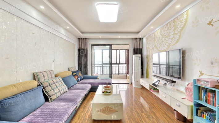 碧桂园生态城依云二手房实景图