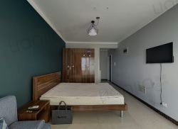 整租·容金国际 1室1厅 西南_容金国际租房