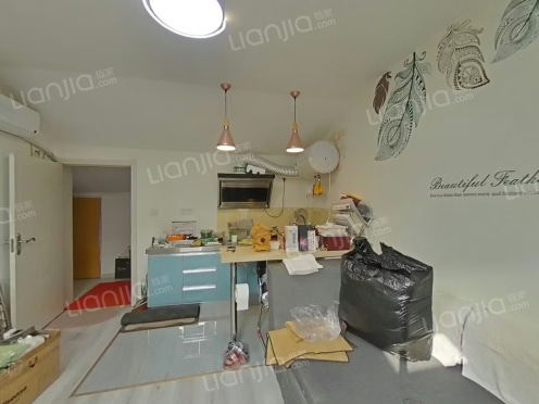 整租·金水苑小区 1室1厅 南/北