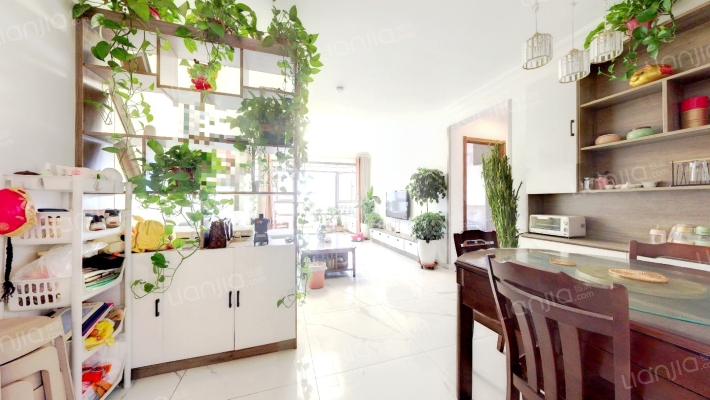 碧桂园青城二手房实景图