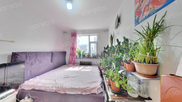 逸佳小区二手房实景图