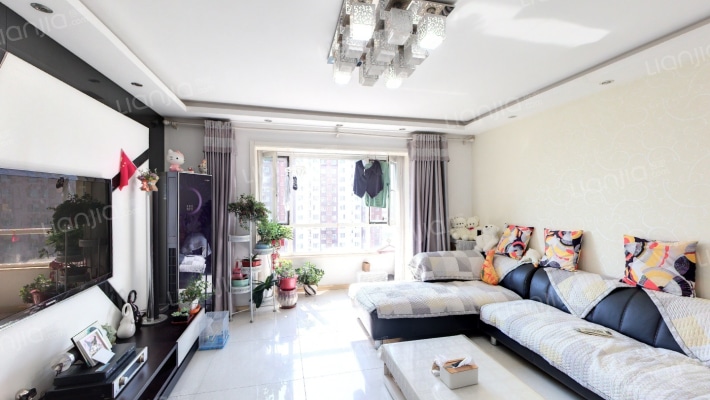 艺苑桐城二手房实景图