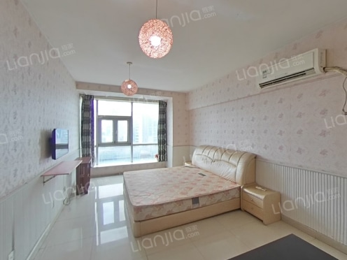 整租·新科国际 1室0厅 南