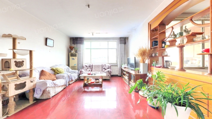 十中家属院二手房实景图