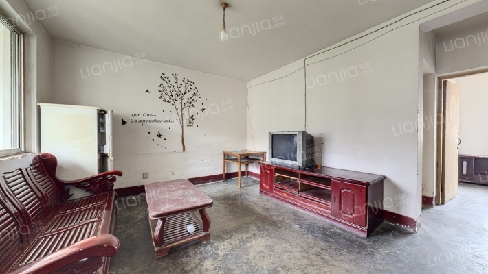 金科苑中街103号二手房实景图