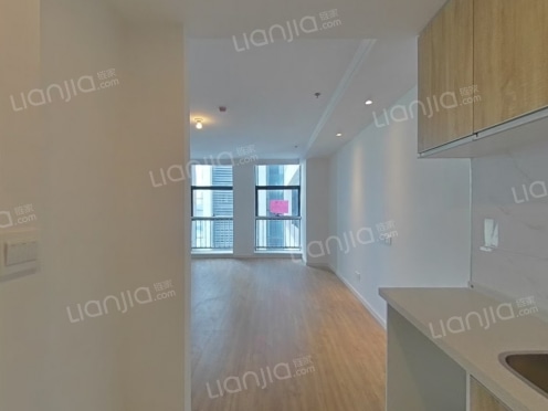 整租·凯琻中心 1室0厅 南