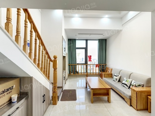 整租·中央广场 1室1厅 南