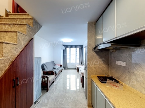 整租·龙湖新壹城 1室1厅 东