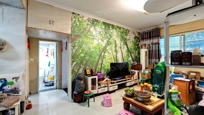 青皮安置房二手房实景图