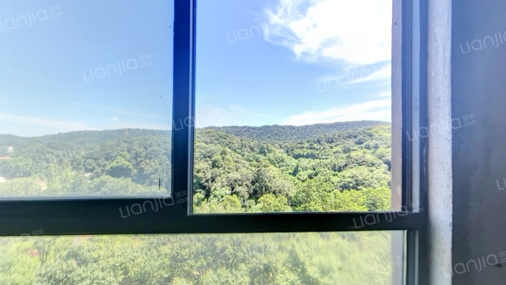 美浓小镇二手房实景图