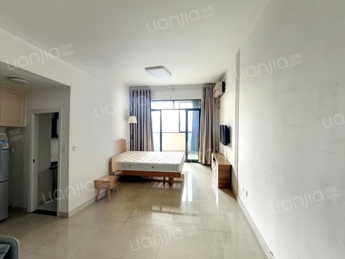 整租·劲力五星城自由地 1室1厅 东