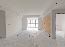 整租·碧桂园中环壹号 4室2厅 东_碧桂园中环壹号租房